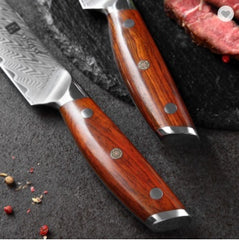 Damascus Steel Professional Steak Knife Set