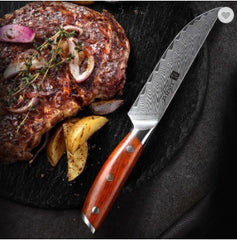 Damascus Steel Professional Steak Knife Set